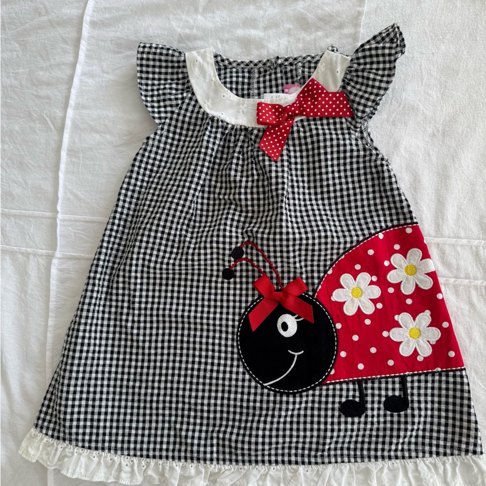 Adorable Gingham Ladybug Dress